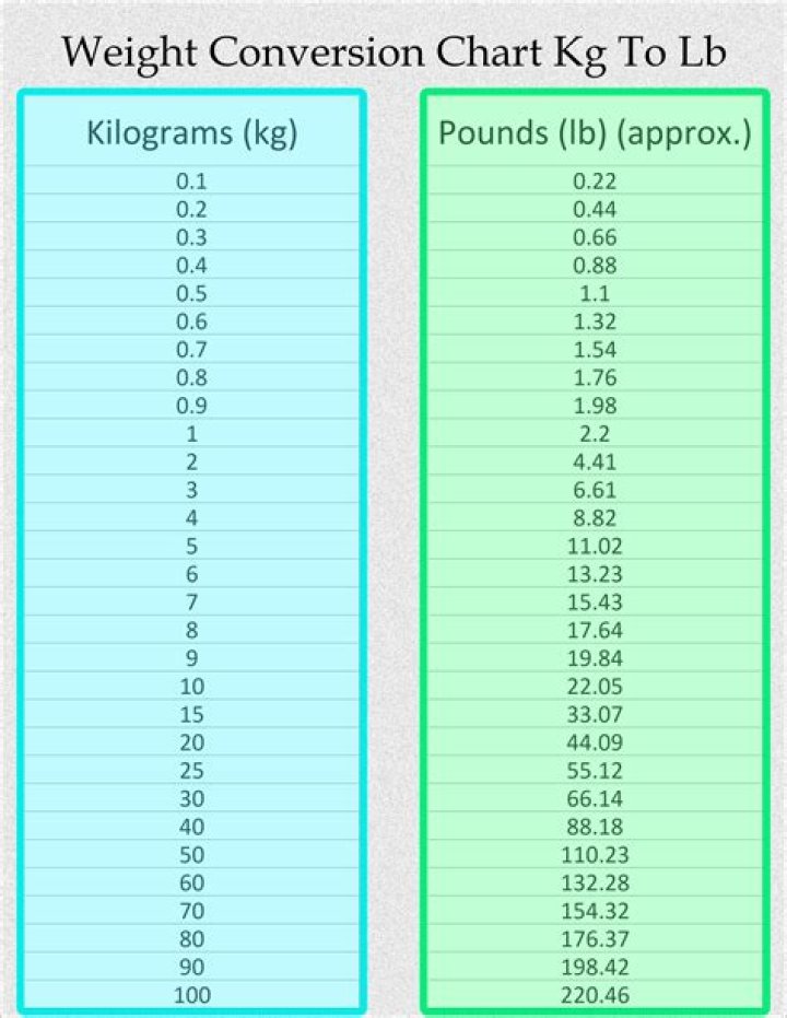 Convert 8.7 Kilograms To Pounds Quickly And Easily