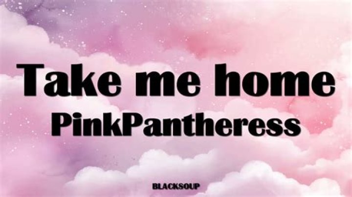 Discover Take Me Home Lyrics By PinkPantheress