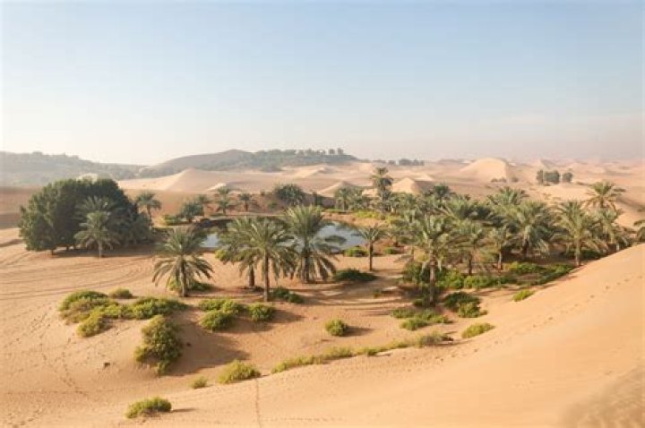 Discover The Enchanting Rana Jo Platz: Your Oasis In The Heart Of Nature