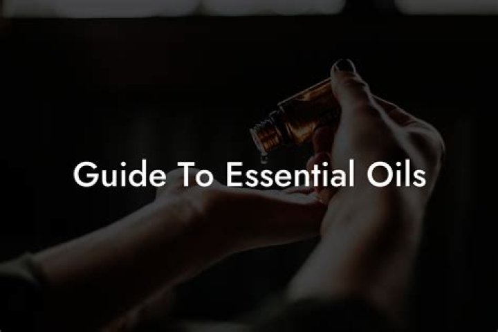 Essential Guide To Austin Lyle's Artistic Genius