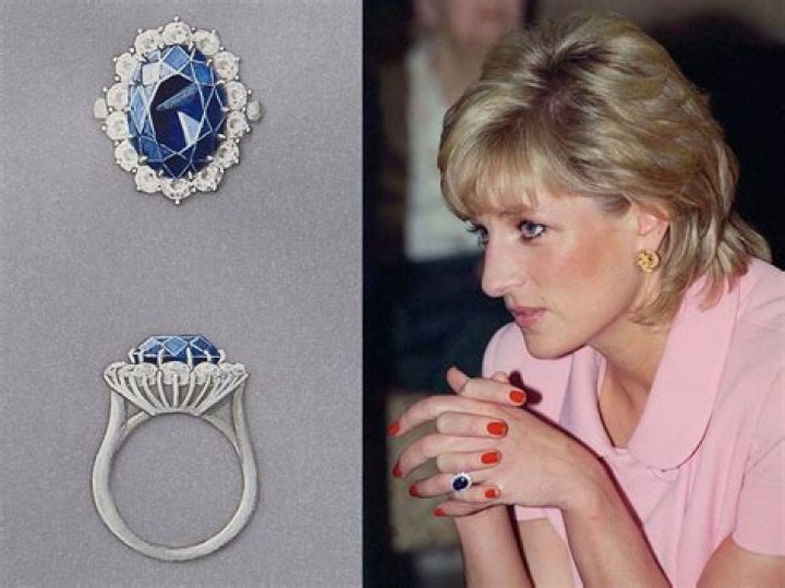 Exploring The Fascinating Journey Of Diana Pierce: Age, Biography, And More
