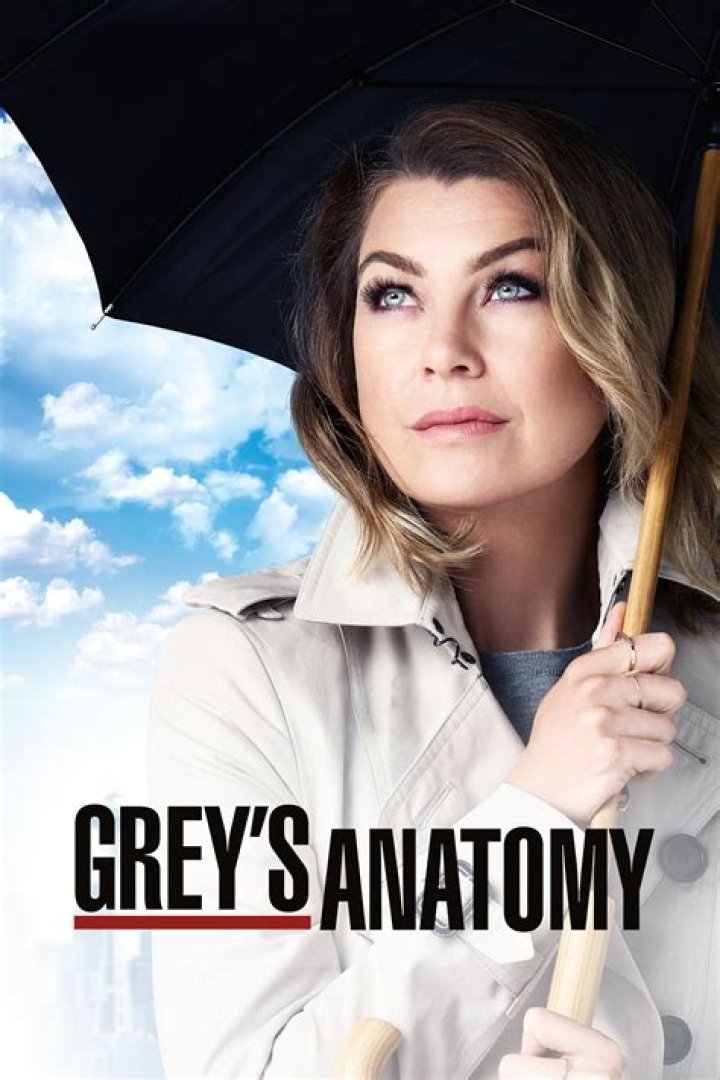 Exploring The Intriguing Life Of Dr. Beltran From Grey's Anatomy