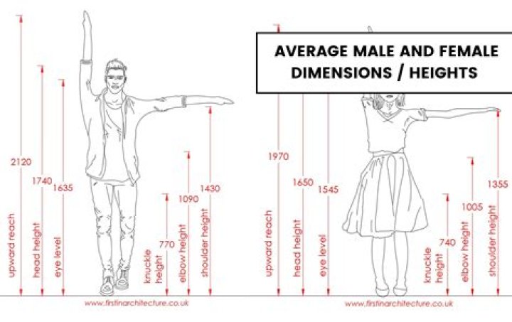 How Common: The Complete Guide To Average Heights