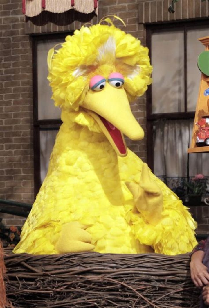 How Old Is Big Bird? | Uncover The Sesame Street Icon's Age