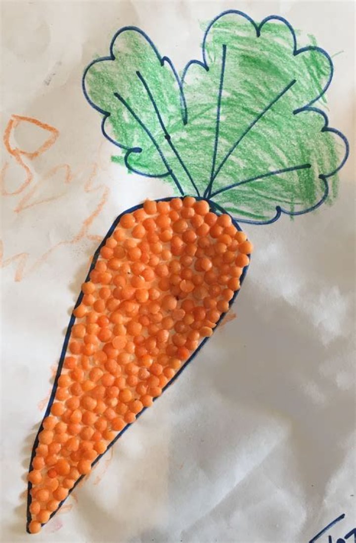 Learn More: Does Carrot Top Have Any Children?