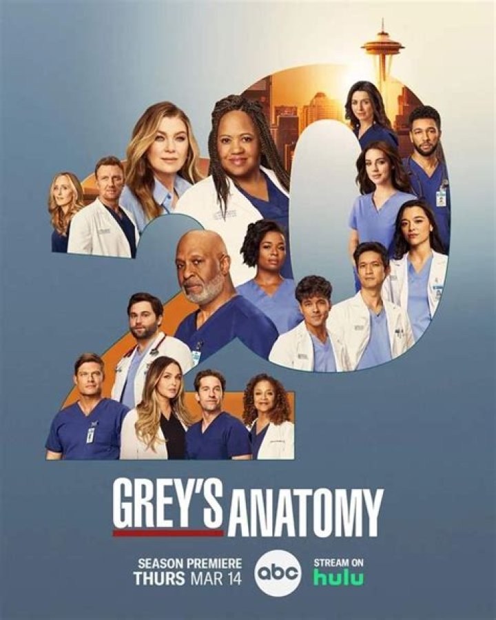 Meet Sadie: A Grey's Anatomy Icon