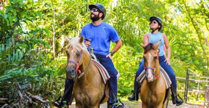 Sarah's Incredible Journey With Juan: An Inspiring Horseback Adventure