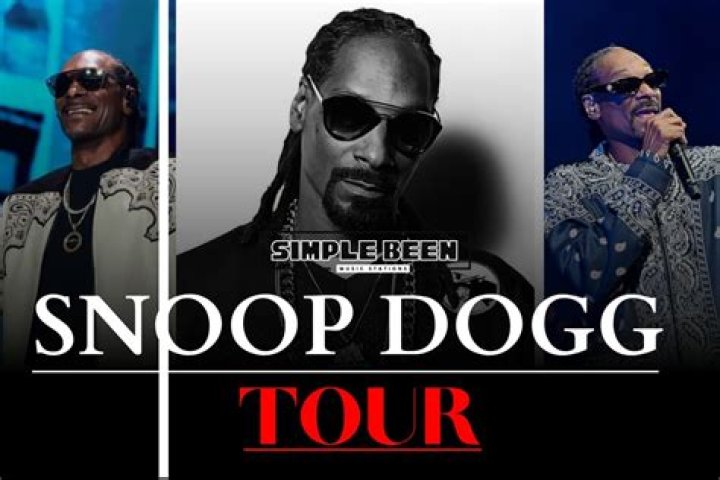 Snoop Dogg's Legal Troubles: Arrest Details In 2024
