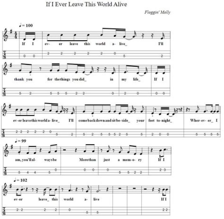 The Ultimate Guide To "If I Ever Leave This World Alive" Song