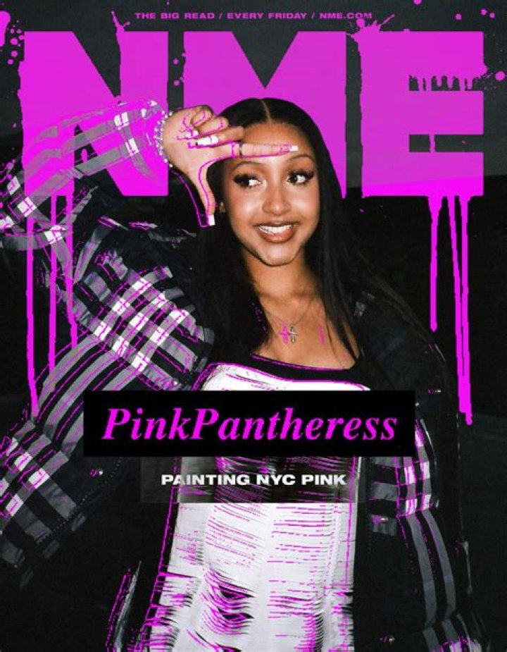 The Ultimate Guide To "Just A Waste" By PinkPantheress: Meaning, Analysis, And Impact