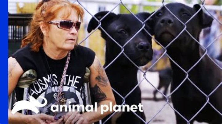 The Ultimate Guide To Pitbulls And Parolees: Behind The Scenes Of Animal Rescue