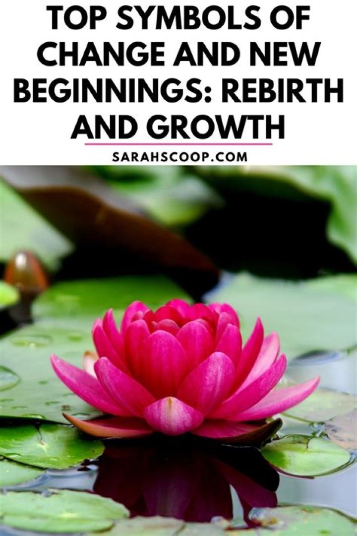 The Ultimate Guide To Symbols Of Change And Growth