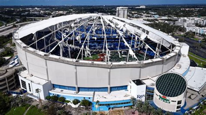 The Ultimate Guide To Tampa Bay Rays Top Prospects
