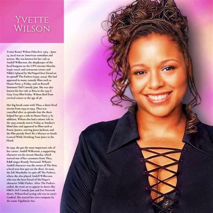 The Unforgettable Star: Actress Yvette Wilson