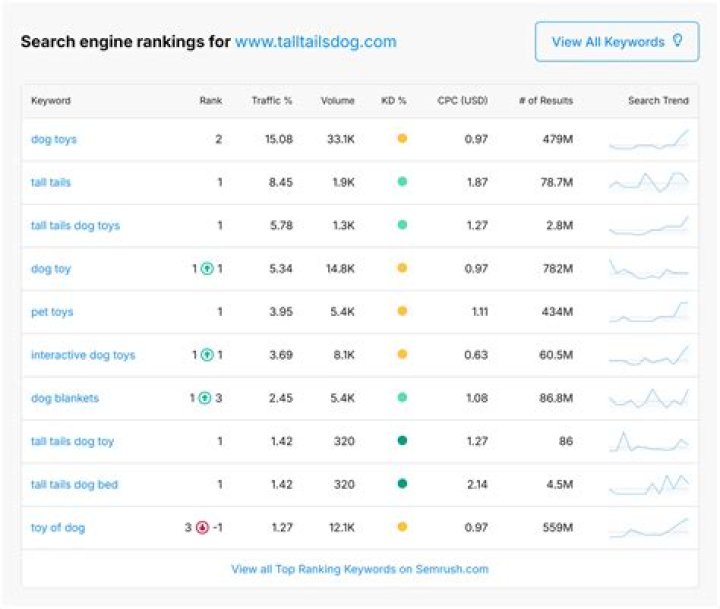Ultimate Google Traffic Rank Checker: Analyze Your Website's Performance