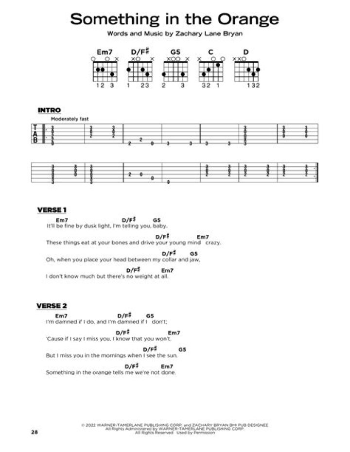 Unraveling The Essence Of "In The Orange Lyrics"