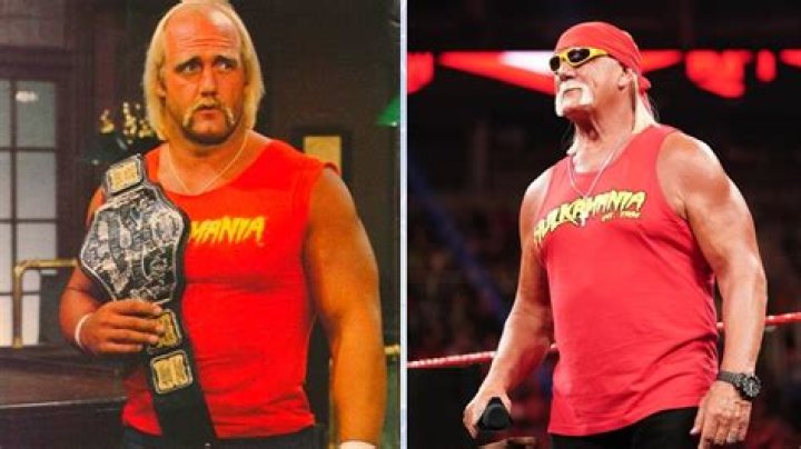 Unveiling The Hogan Legacy: A Peek Into Hulk Hogan's Siblinghood